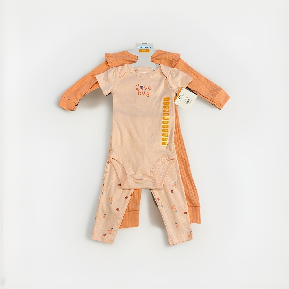 Carters‎ Infant Girls 2 Outfits Short Sleeve Pants Bodysuit 3 Pc 12M Lady Bug